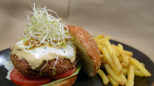 Veggie-Burger: EU-Entscheidung über Namensverbot vertagt
