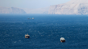 Seul, 'valutiamo con attenzione la richiesta di Trump su Hormuz'