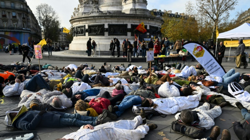 "Stop aux imports de miel &agrave; bas prix": des apiculteurs fran&ccedil;ais lancent un cri d'alarme