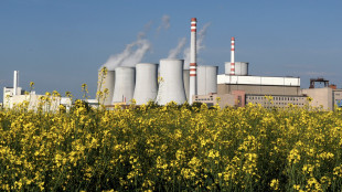 Sogin termina attività consulenza per centrale Bohunice