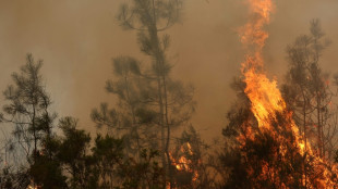 Espa&ntilde;a enfrenta "el mayor incendio forestal" de su historia reciente