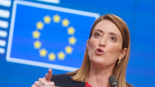 Il Parlamento europeo vieta l'ingresso ai diplomatici iraniani