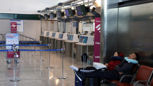Cub, domani presidio per Gaza a Malpensa e blocco cargo