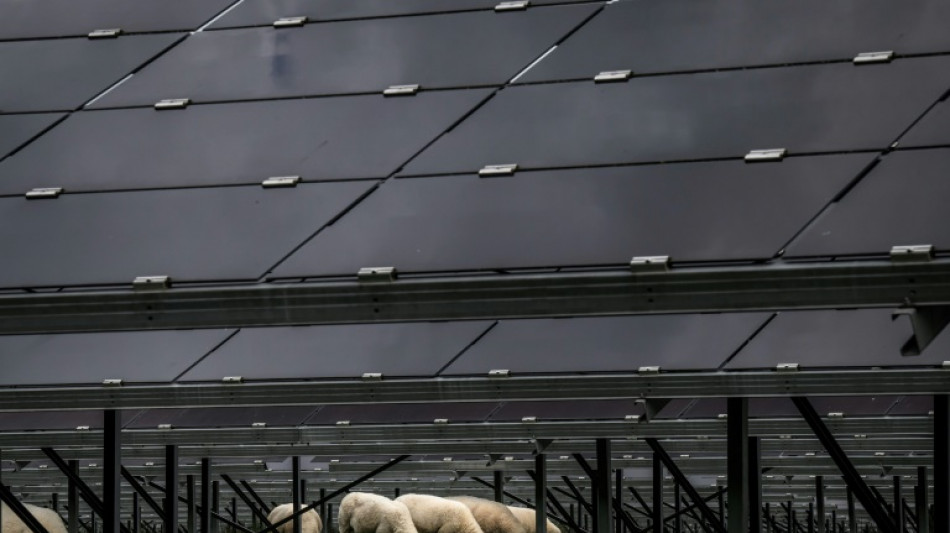 Acuerdo en la Uni&oacute;n Europea para alcanzar el 42,5% de las energ&iacute;as renovables en 2030