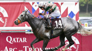 Arc winner Alpinista retires as injury scuppers Japan Cup bid
