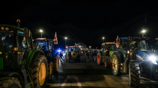 Francia solicita a la Unión Europea postergar el trámite de acuerdo con Mercosur