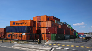 Rallenta l'export a maggio, +0,2%, sull'anno +4,1,%