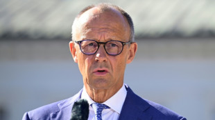 Merz zu hybriden Angriffen: Urheber werden daf&uuml;r bezahlen