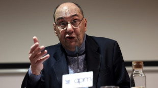 Detenido en Francia el hermano del sospechoso de disparar contra un expol&iacute;tico espa&ntilde;ol