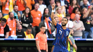 Euro-2024: Gakpo envoie des Pays-Bas s&eacute;duisants en quarts, seize ans apr&egrave;s