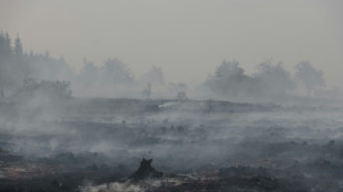 Belgium fire makes 'limited' spread overnight, more help on way