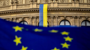 Mes, 'garanzia per asset? Nostro ruolo limitato a Eurozona'