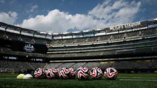'Gouged': World Cup fans to pay 'insane' $150 for NY stadium train ticket
