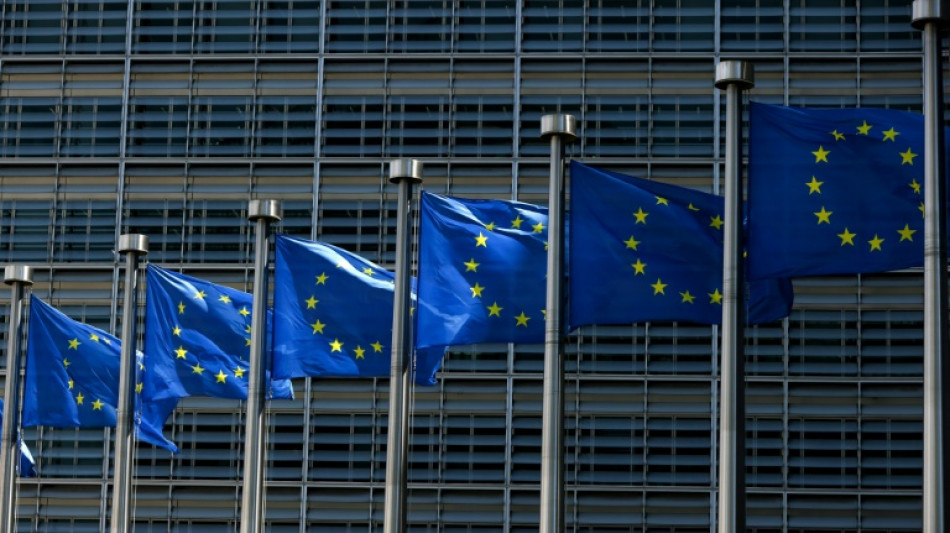 US economist renounces EU job after Macron doubts