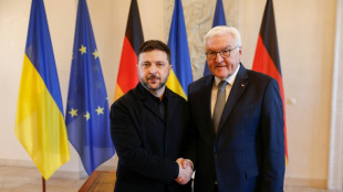 Steinmeier empfängt Selenskyj offiziell in Berlin