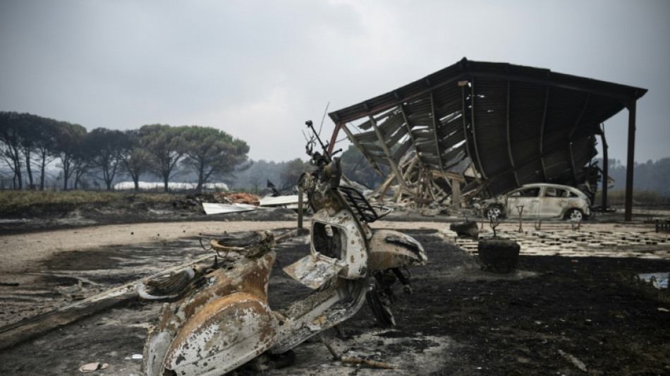 Beh&ouml;rden: Waldbrand in der franz&ouml;sischen Gironde breitet sich weiter "rasch" aus