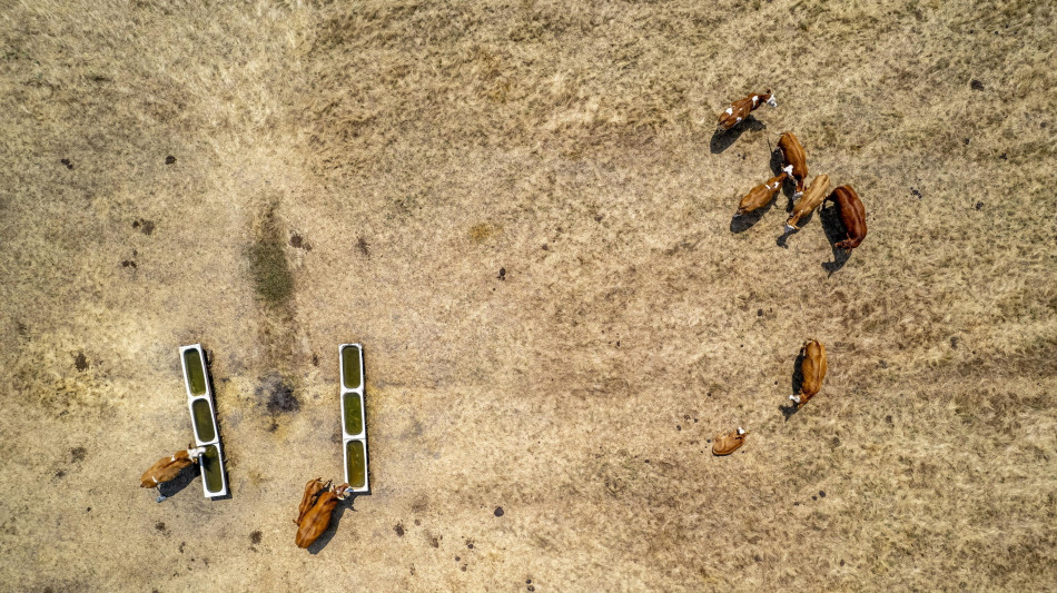 Fao, il degrado del suolo danneggia 1,7 miliardi di persone
