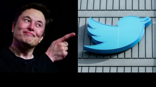 Sur Twitter, les "couches p&eacute;dophiles" et autres fausses rumeurs fleurissent