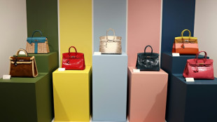 Demandan a Herm&egrave;s por obstaculizar la compra de carteras Birkin