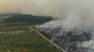 Belgium races to tame huge wildfire creeping towards Germany