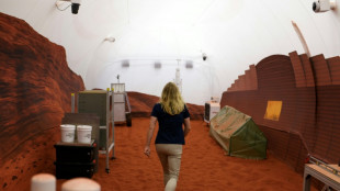 Meet the scientist (sort of) spending a year on Mars