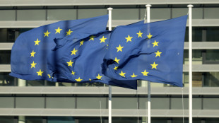 Ue, Reich? Anche parole folli sono libert&agrave; espressione