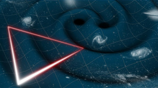 Onde gravitazionali, 10 anni fa il primo 'cinguettio'