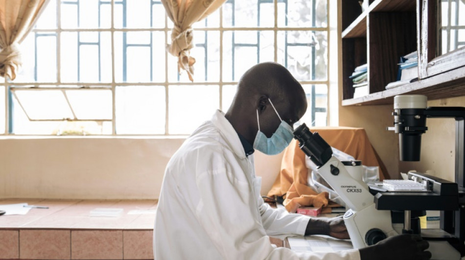 Researchers brave relentless violence to work in DR Congo
&nbsp;