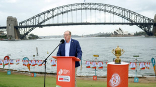 Le rugby doit miser sur les Etats-Unis, selon le patron de la f&eacute;d&eacute;ration internationale