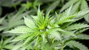 Lauterbach stellt Gesetzespl&auml;ne f&uuml;r Cannabis-Legalisierung vor