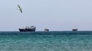 Lloyd's di Londra, 'mille navi bloccate a Hormuz, valgono 25 miliardi'