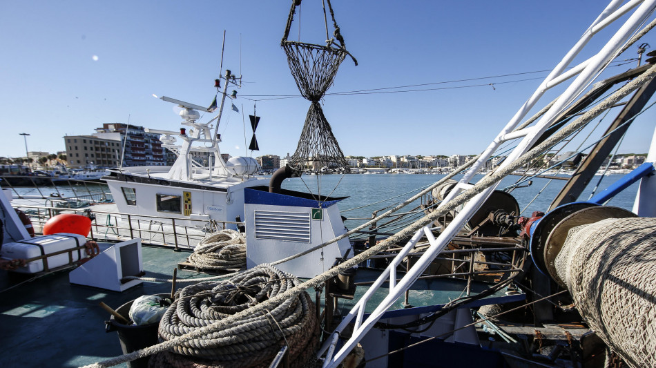 Caro gasolio, nei porti aumenti del 33%, picchi a Caorle (+41,9%) e Livorno (+37,5%)