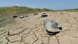 Climat: des engagements "tr&egrave;s loin" d'&ecirc;tre suffisants avant la COP, avertit l'ONU