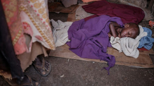 Dans la Corne de l'Afrique, la s&eacute;cheresse menace 20 millions de personnes
