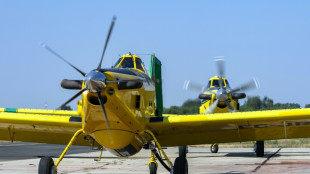 M&aacute;s de 1.000 bomberos combaten un incendio forestal en Portugal