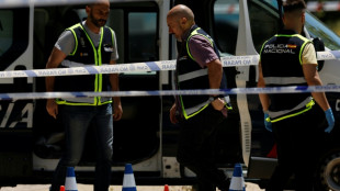 Arrestan en Alemania al hombre que presuntamente asesin&oacute; a un exdiputado ucraniano en Espa&ntilde;a