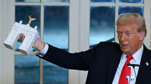 Constru&ccedil;&atilde;o do arco de Trump come&ccedil;ar&aacute; este m&ecirc;s, segundo alto funcion&aacute;rio dos EUA