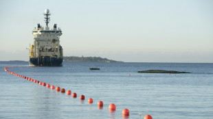 Soup&ccedil;ons de "guerre hybride" russe apr&egrave;s des dommages sur des c&acirc;bles en mer Baltique