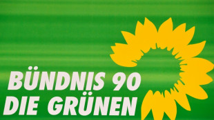 Gr&uuml;ne beraten auf L&auml;nderrat &uuml;ber Krieg in der Ukraine