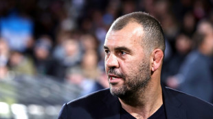 Cheika hopes to do Lebanon justice after reaching World Cup quarters
