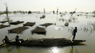 Sud&aacute;n del Sur en "territorio desconocido" tras cuatro a&ntilde;os de inundaciones