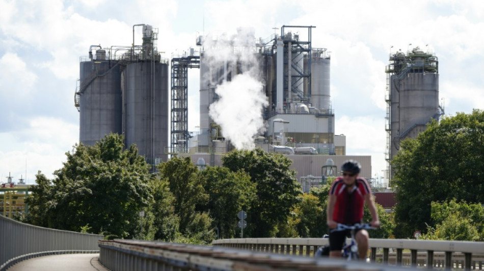 German experts slam spending plans, cut GDP forecast