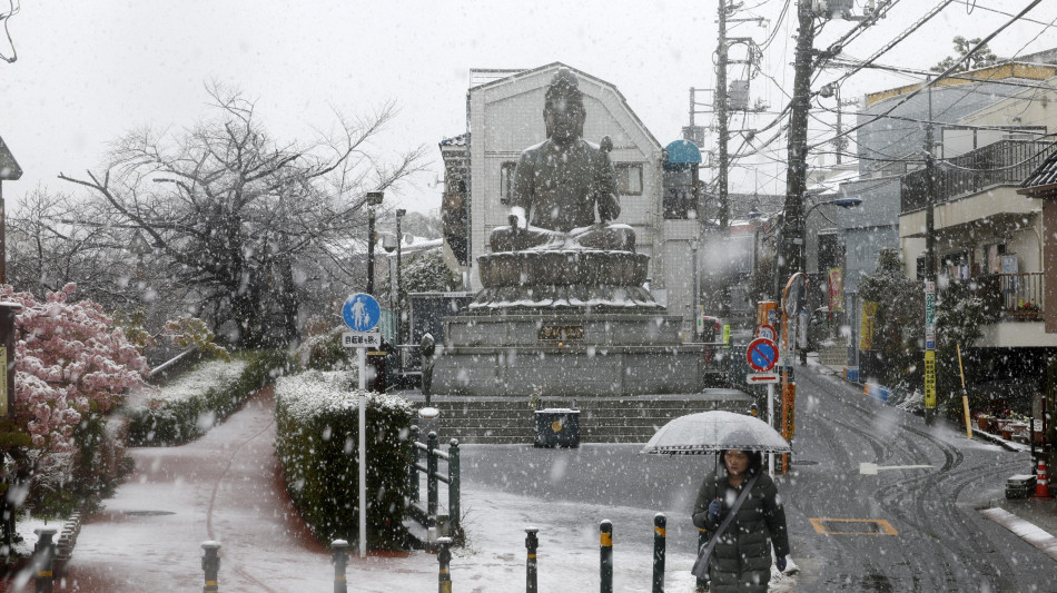 Intense nevicate in Giappone, 30 morti in due settimane