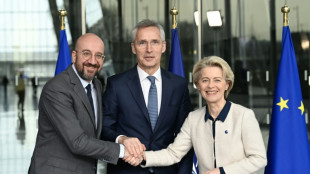 L'UE et l'Otan promettent de renforcer leur soutien &agrave; la d&eacute;fense de l'Ukraine 