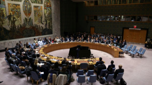 Conselho de Seguran&ccedil;a aprova resolu&ccedil;&atilde;o sobre for&ccedil;a internacional em Gaza