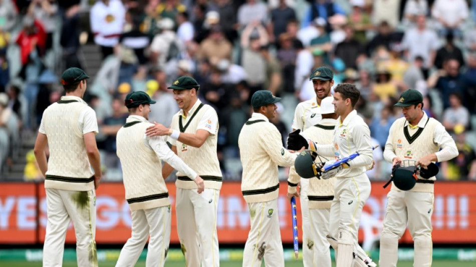 Australia hammer South Africa to win 2nd Test and series  