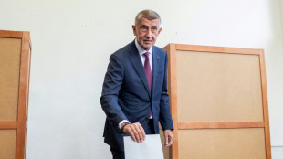 Teilergebnisse bei Wahl in Tschechien: Partei von Ex-Regierungschef Babis klar vorne