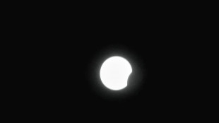 L'eclissi &egrave; iniziata, la Luna 'rosicchia' il disco del Sole