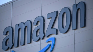 Le premier syndicat d'Amazon aux Etats-Unis &eacute;choue dans un deuxi&egrave;me entrep&ocirc;t