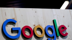 Google, 'il Dma dell'Ue danneggia prodotti amati dagli europei'